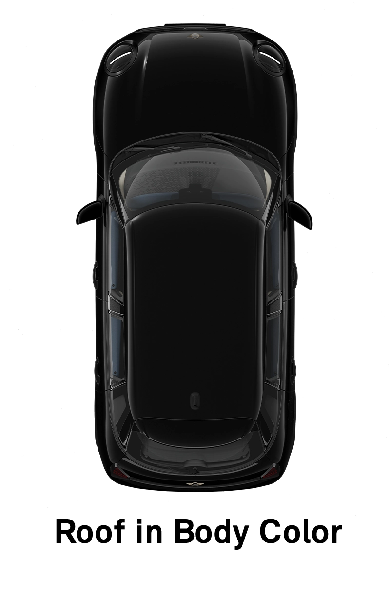 MINI stogas: kėbulo spalvos stogas ir veidrodėlių gaubtai