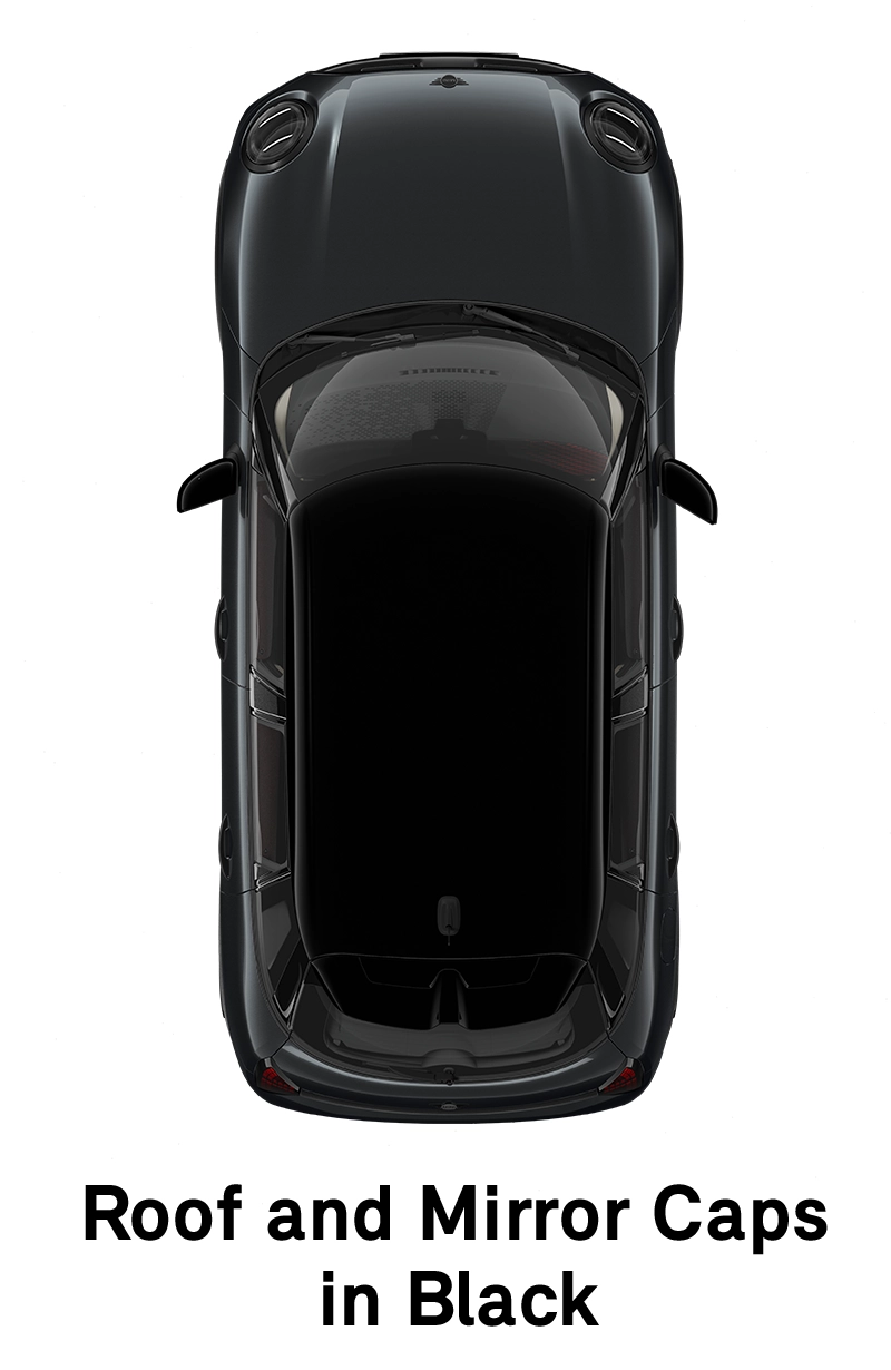 MINI stogas: stogas ir veidrodėlių gaubtai kėbulo spalvos