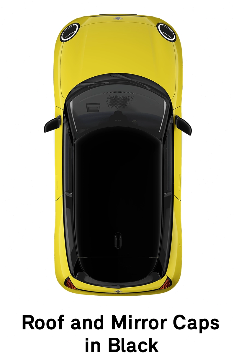 MINI stogas: juodos spalvos stogas ir veidrodėlių korpusai