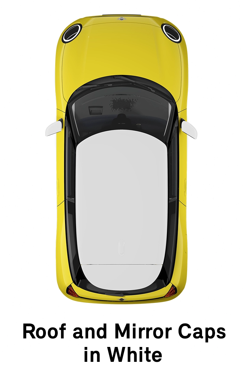 MINI stogas: baltos spalvos stogas ir veidrodėlių korpusai