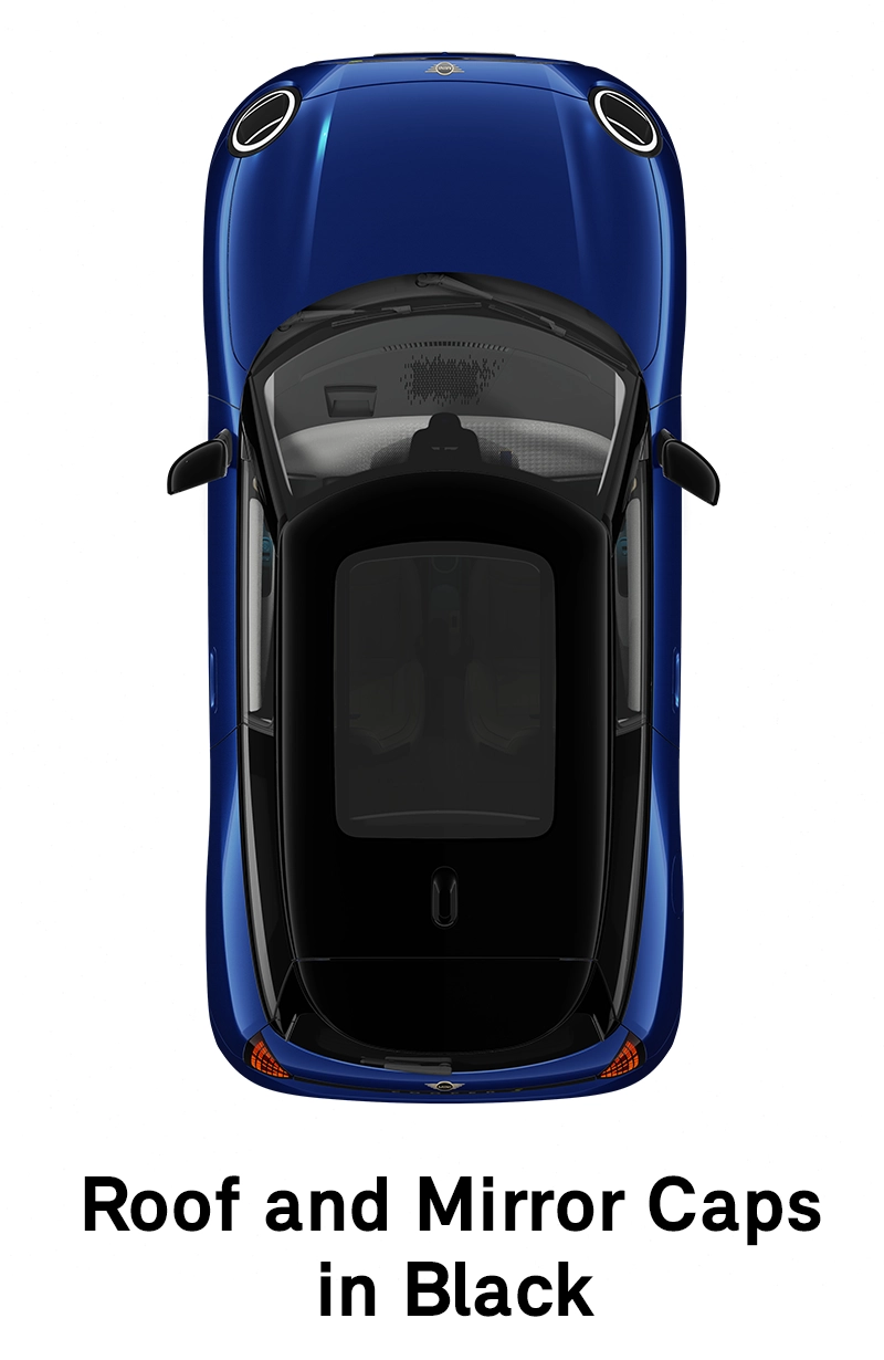 MINI stogas: juodos spalvos stogas ir veidrodėlių korpusai