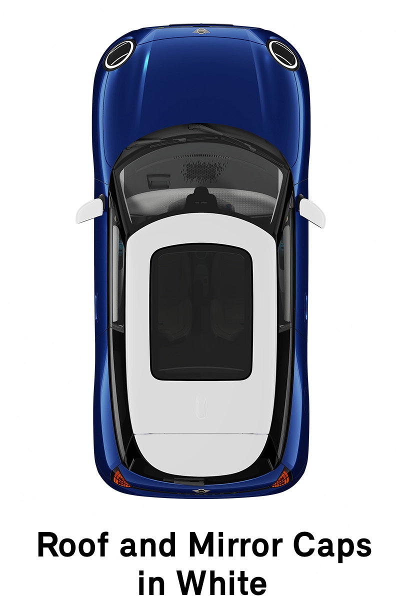 MINI stogas: baltos spalvos stogas ir veidrodėlių korpusai