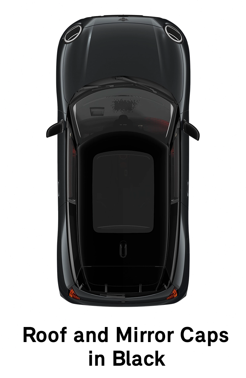 MINI stogas: juodos spalvos stogas ir veidrodėlių korpusai