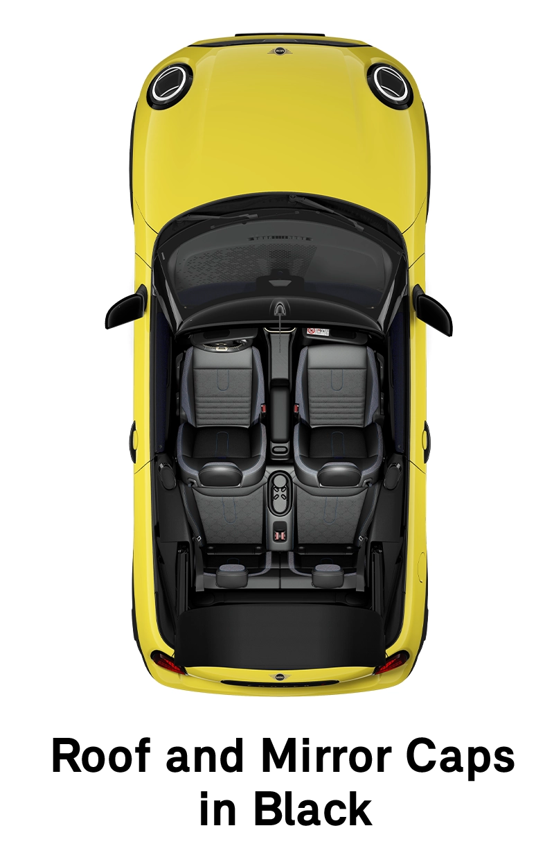 MINI stogas: juodos spalvos stogas ir veidrodėlių korpusai