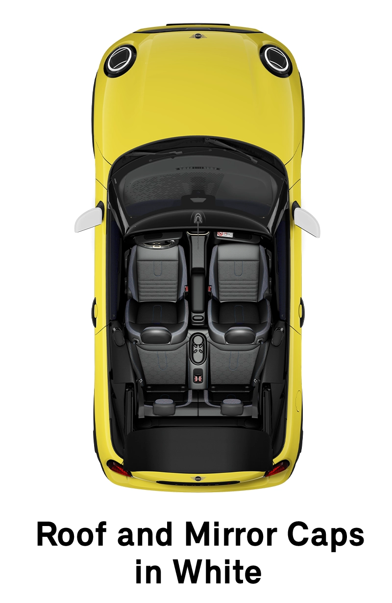 MINI stogas: baltos spalvos stogas ir veidrodėlių korpusai