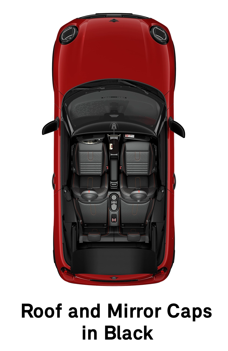 MINI stogas juodos spalvos stogas ir veidrodėlių korpusai